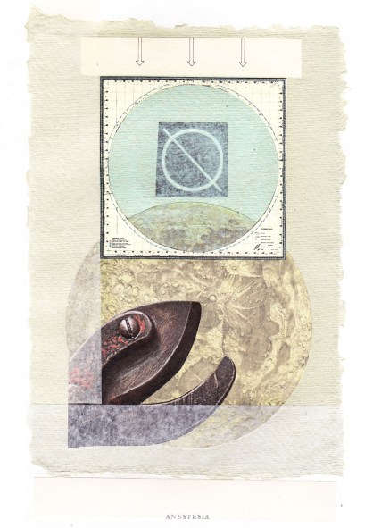 Picture Book_0005-2-2s